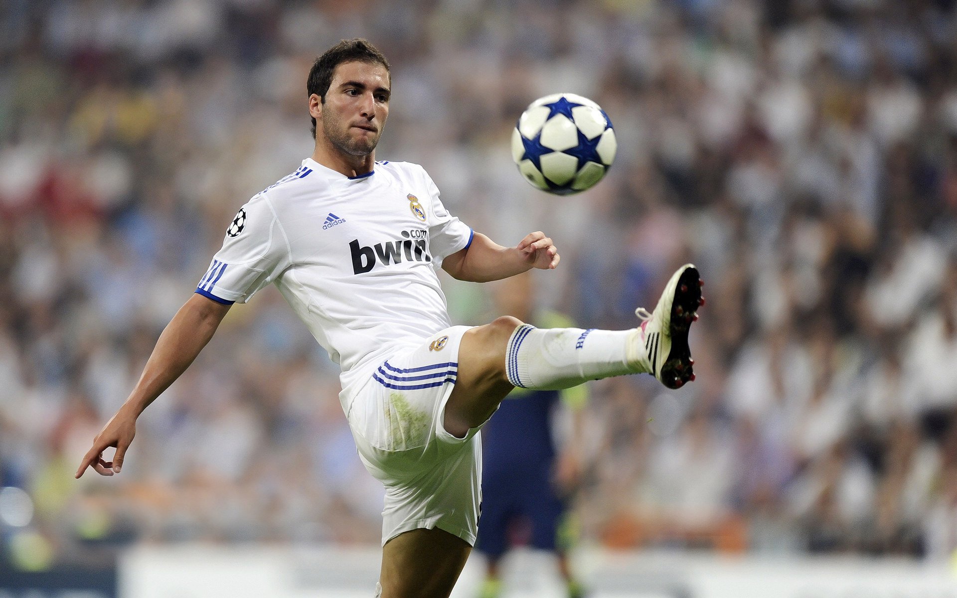 克罗地亚骑手奥利维亚·马尔顿·米哈尔迪内茨在2024年国际马术联合会世界障碍赛中获得第六名，展现出色表现。