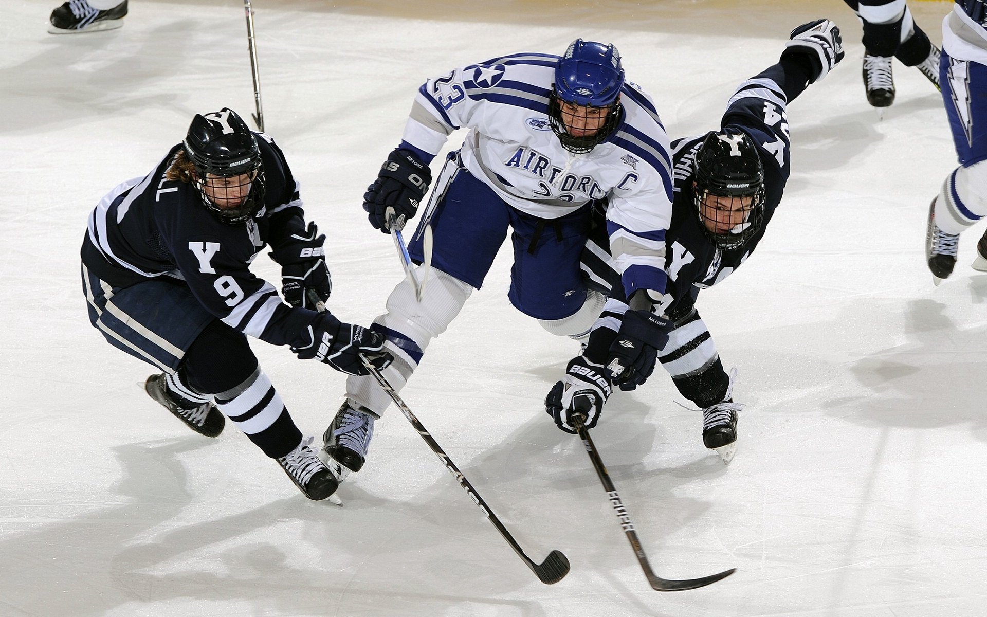 赞助商故事：品牌背后的合作奇迹，赞助商logo排列顺序
